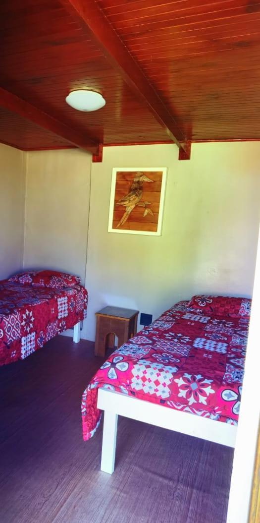 Moonsong Accommodation & Camping Плетенбърг Бей Екстериор снимка